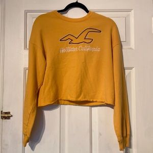 Hollister Crewneck